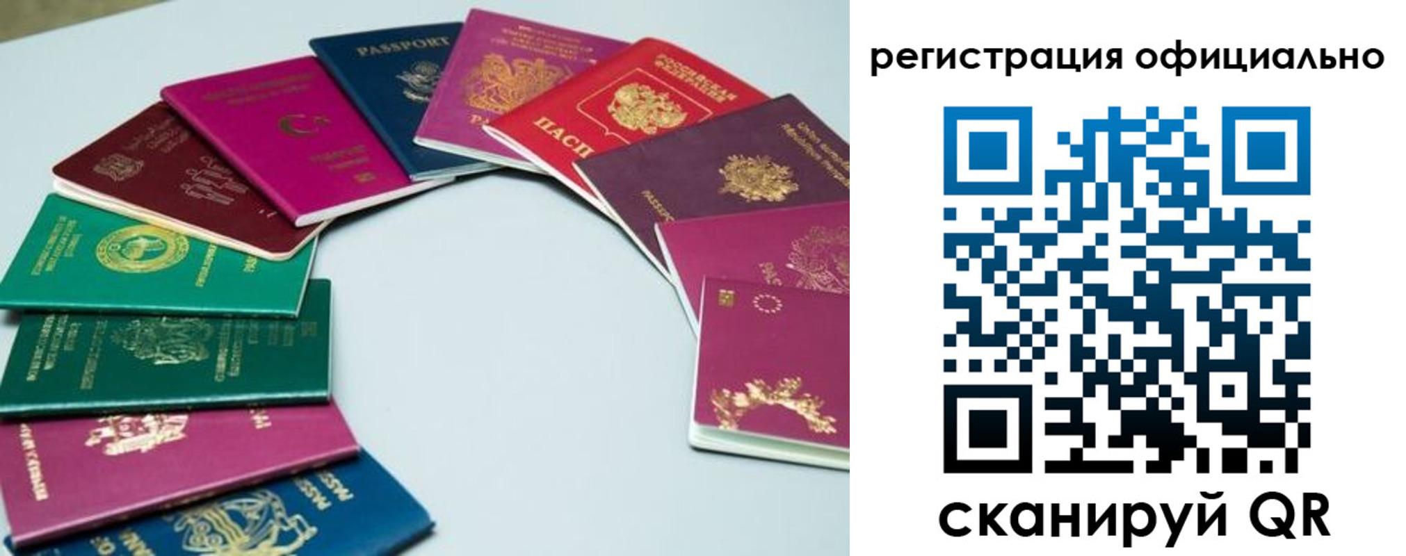 регистрация в Лыткарино